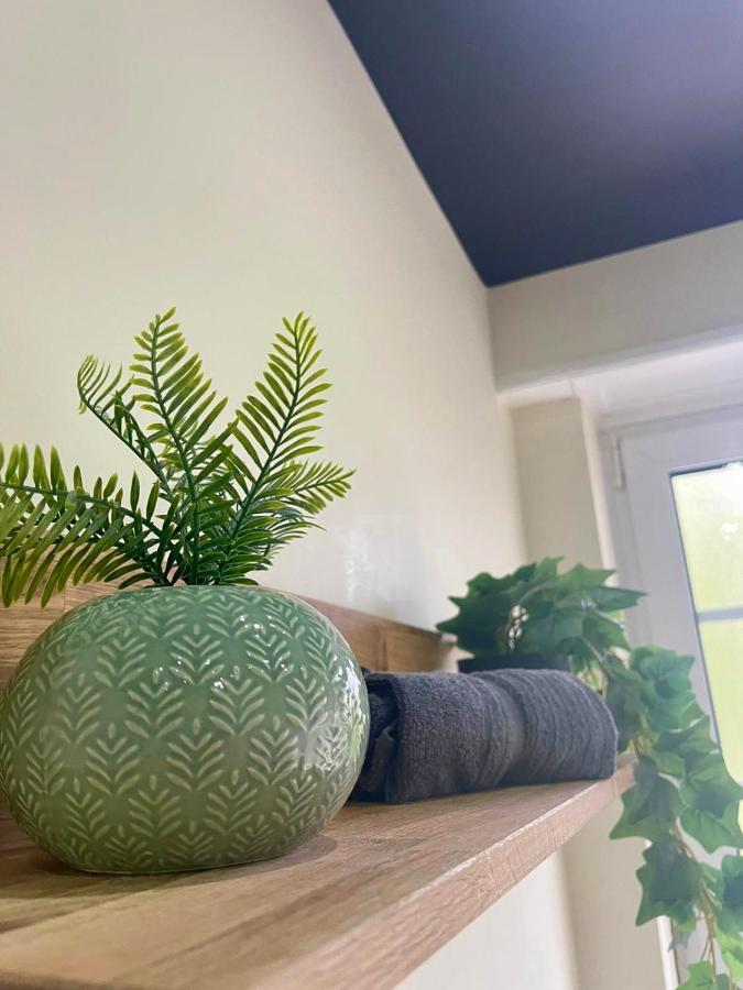Jungleclassic En Plein Coeur De Мюлуз Экстерьер фото